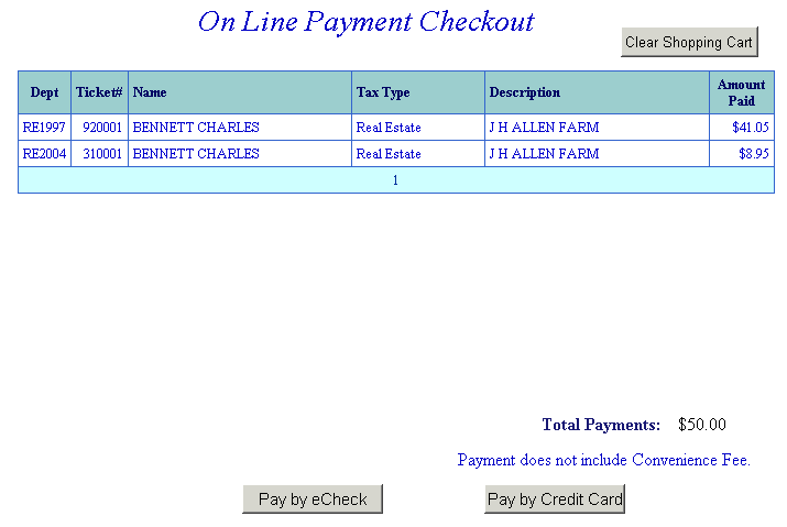 Example checkout screen